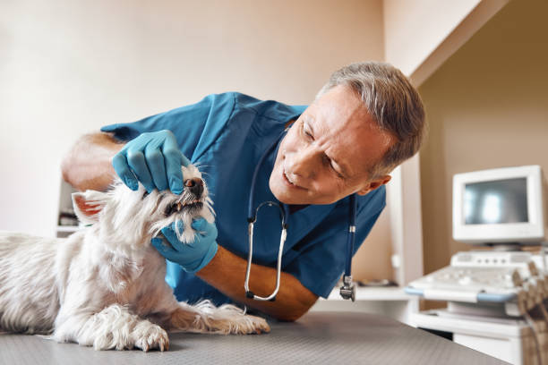 Best After-Hours Dental Trauma Care in Algood, TN